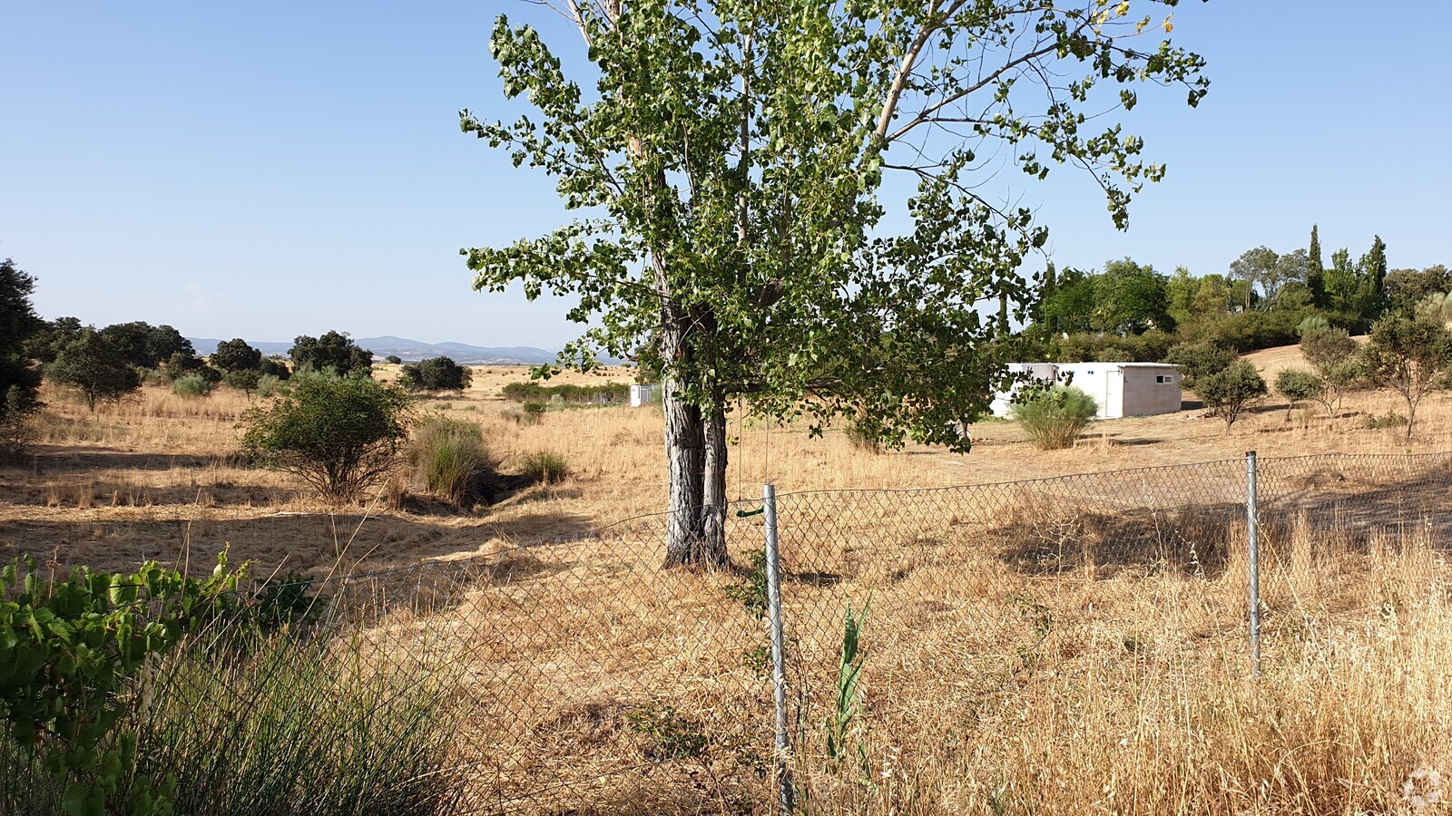 Photo principale