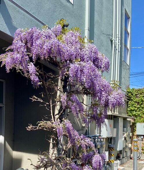 2831-2849 7th St, Berkeley, CA à louer - Photo de l’immeuble – Image 3 sur 17