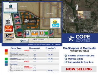 Plus de détails pour E.Monte Carlo & Longneck Rd, Princeton, TX - Terrain à vendre