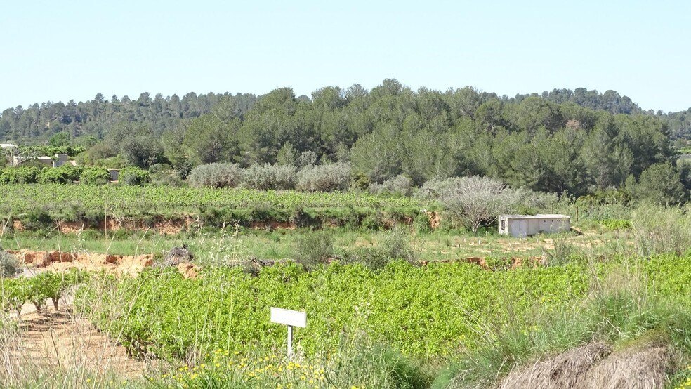 Polígono Enchilagar del Rullo, 16, Vilamarxant, Valencia à vendre - Aérien – Image 2 sur 27