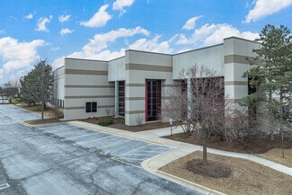 Plus de détails pour 284-314 E Lies Rd, Carol Stream, IL - Industriel/Logistique à louer