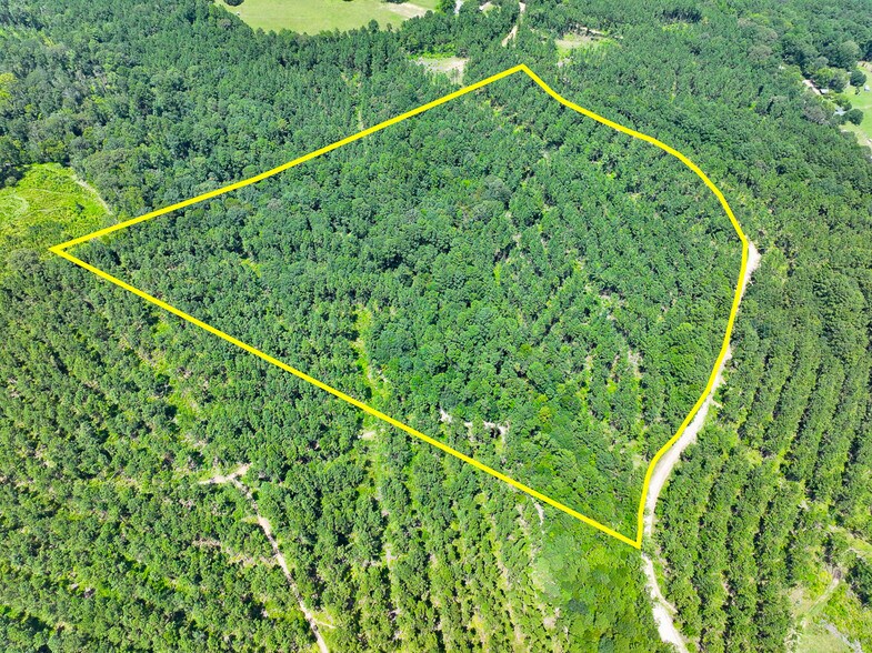0 Slim Palmer Road, Zavalla, TX à vendre - Photo de l’immeuble – Image 2 sur 20