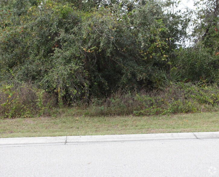 2695 Commerce Pky, North Port, FL à vendre - Photo principale – Image 1 sur 2