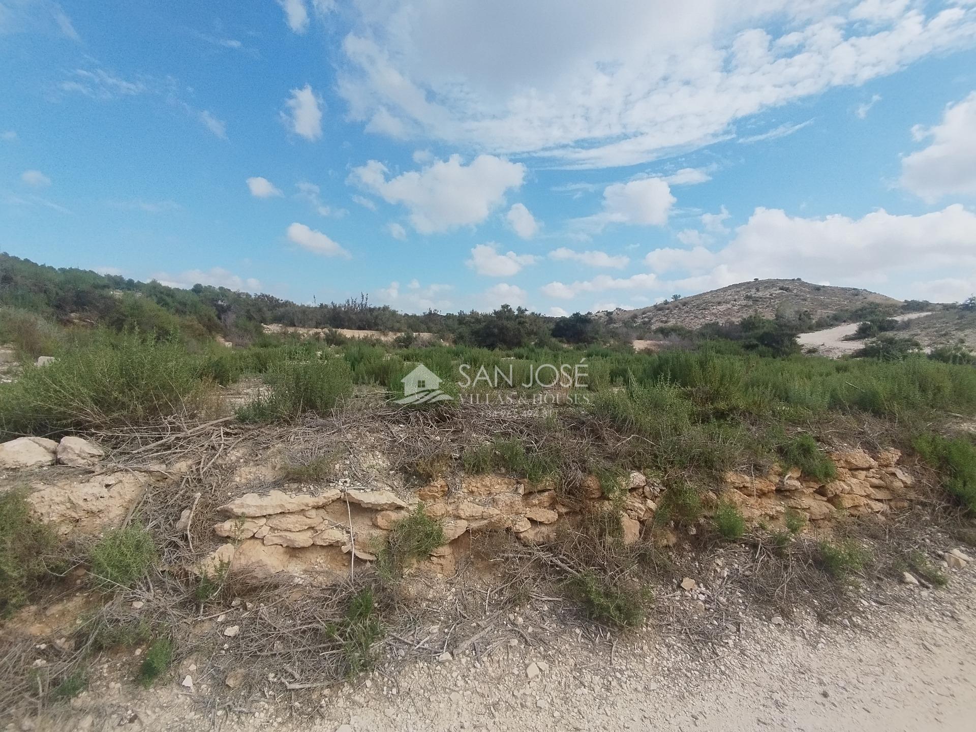 Terrain dans Aspe, Alicante à vendre Photo principale– Image 1 sur 7