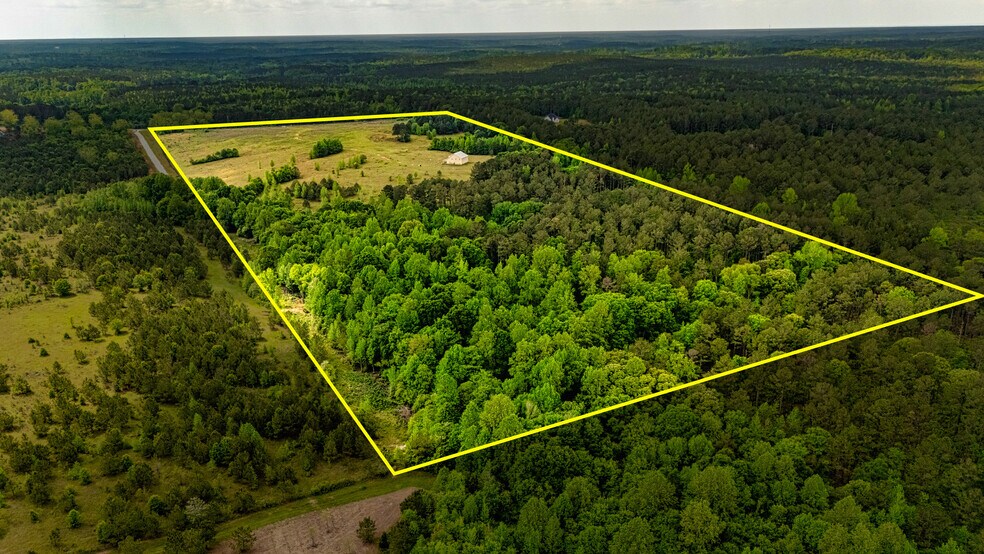 423 Coweta Heard Rd, Hogansville, GA à vendre - Aérien – Image 3 sur 7