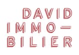 David Immobilier
