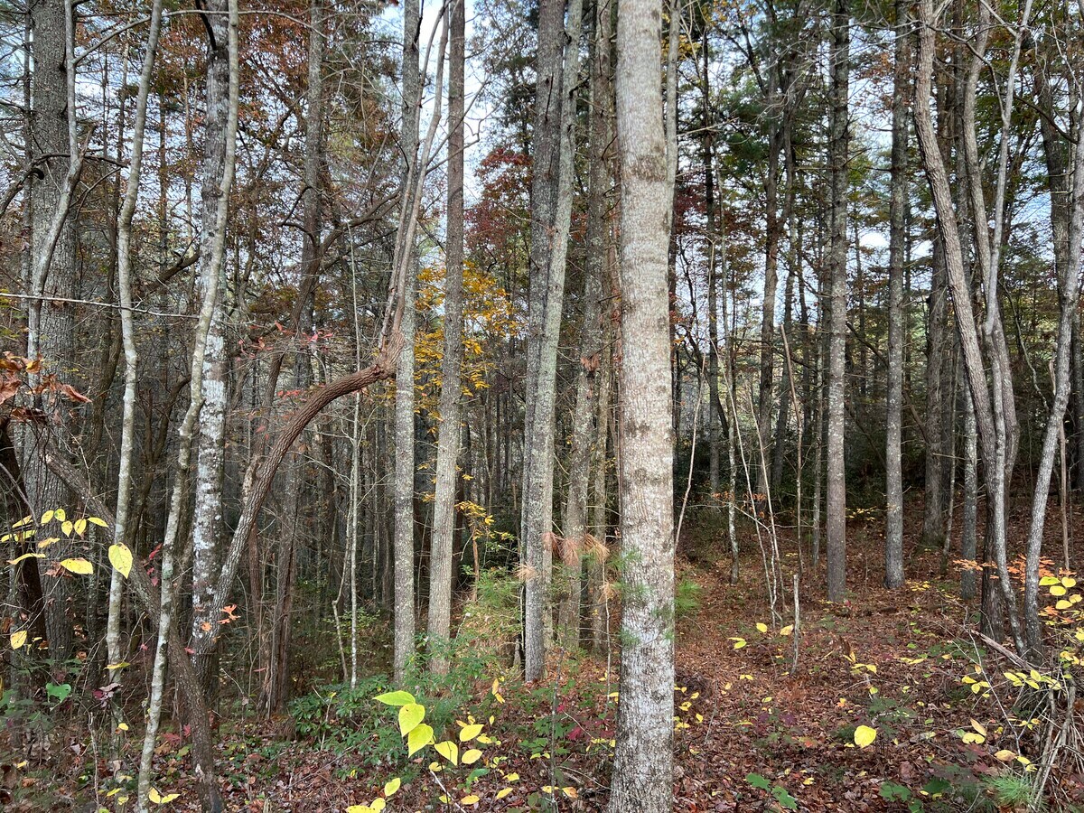 View Photo
