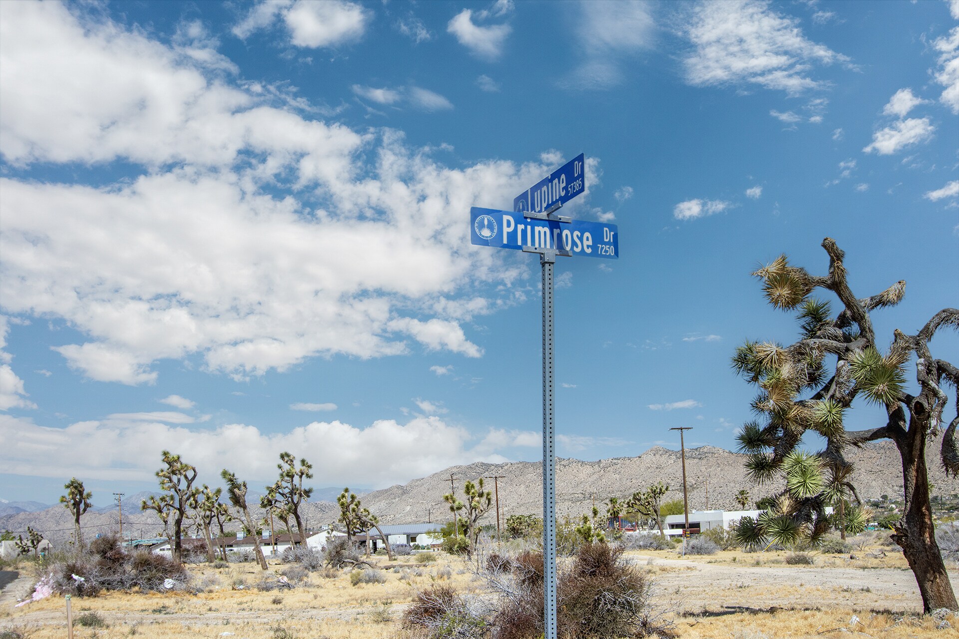 57405 Primrose dr, Yucca Valley, CA à vendre Photo de l’immeuble– Image 1 sur 24