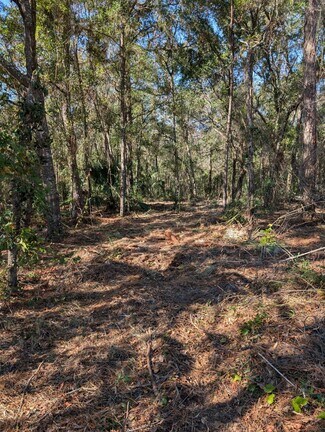 Plus de détails pour 8330 W Grover Cleveland Blvd, Homosassa, FL - Terrain à vendre