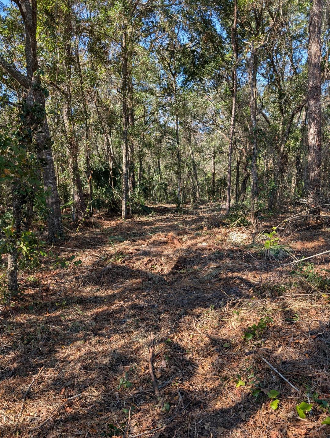 8330 W Grover Cleveland Blvd, Homosassa, FL à vendre Photo principale– Image 1 sur 6