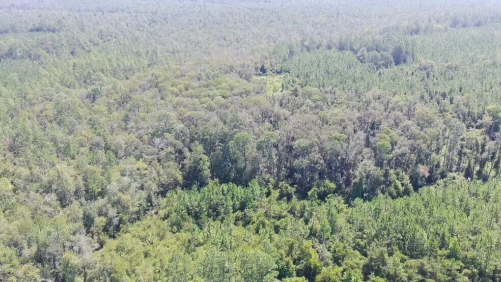 E/S of Pearson Highway at Cowart Road, Homerville, GA à vendre - Photo de l’immeuble – Image 2 sur 4