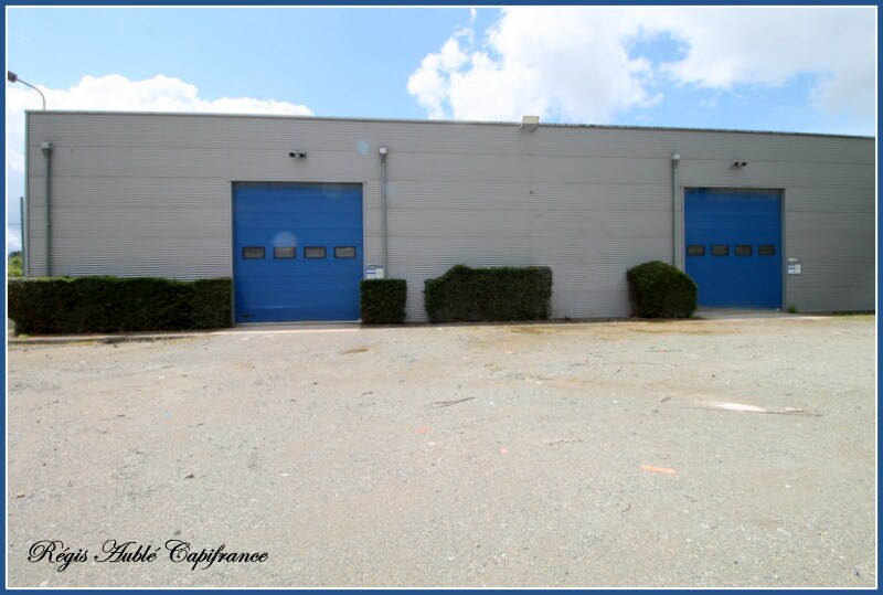 Industriel/Logistique dans Changé à vendre - Photo de l’immeuble – Image 2 sur 18
