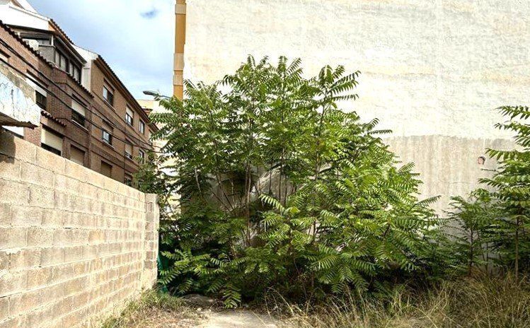 Vazquez Mella, CASTELLÓN DE LA PLANA, Castellón à vendre - Photo de l’immeuble – Image 3 sur 16