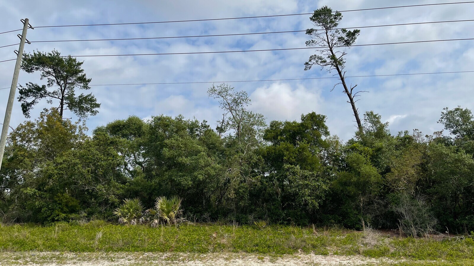 View Photo