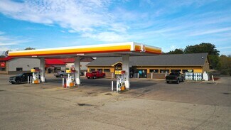 Plus de détails pour 390 W Main St, Stockbridge, MI - Local commercial à vendre