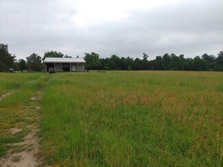 Plus de détails pour 9118 Hazy Hollow Ln, Anderson, TX - Terrain à vendre