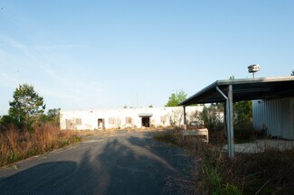 Plus de détails pour County Road 425 Near Ivy Durrence Road, Glennville, GA - Terrain à vendre