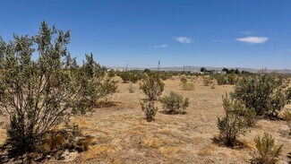 Plus de détails pour sheep creek road Ave, Adelanto, CA - Terrain à vendre