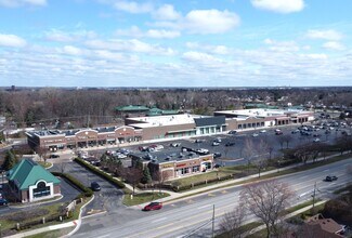 Plus de détails pour 41128-41640 Ann Arbor Rd, Plymouth, MI - Local commercial à louer