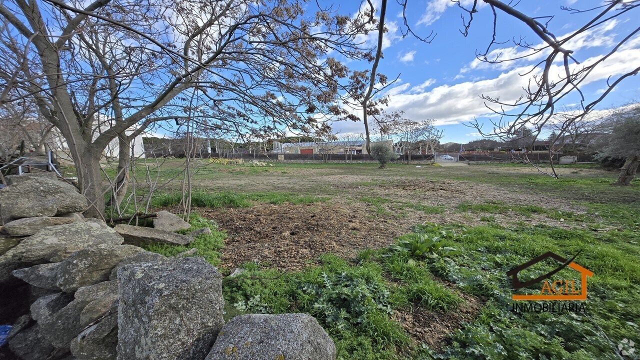 View Photo