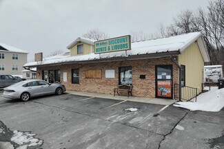 Plus de détails pour 501 Campbell Ave, Troy, NY - Local commercial à vendre