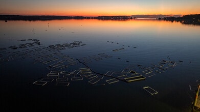 49767 Freemans Rd, Dameron, MD - Vue aérienne  vue de carte - Image1