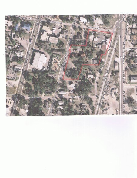611 Palm Bluff St, Clearwater, FL à vendre - Photo principale – Image 3 sur 34