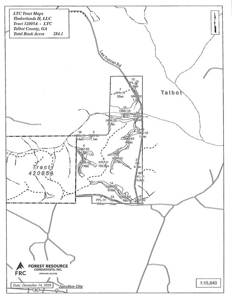 Talbot County Tract 32005A, Junction City, GA à vendre - Plan de site – Image 2 sur 2