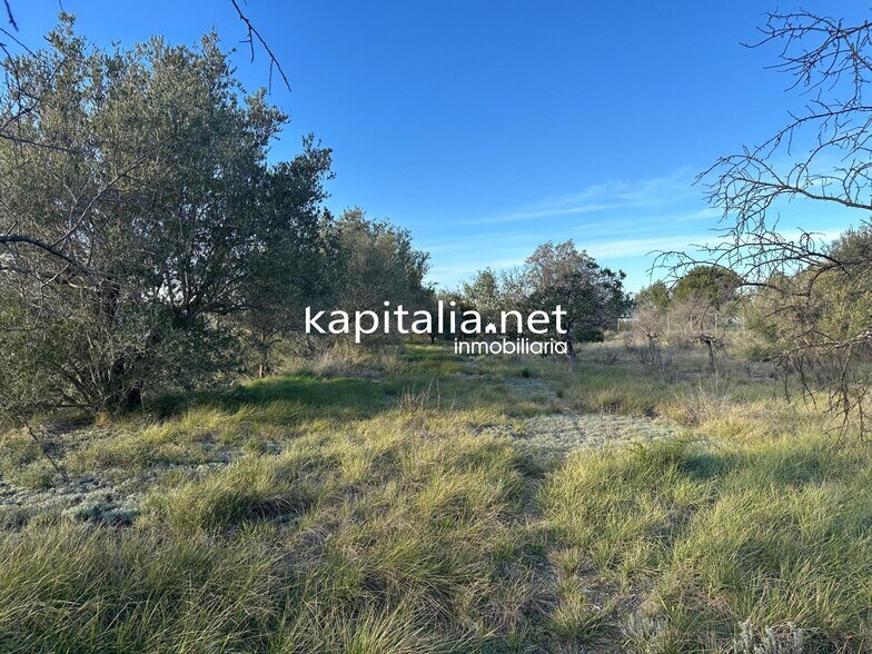 Terrain dans Ontinyent, Valencia à vendre - Photo principale – Image 1 sur 13
