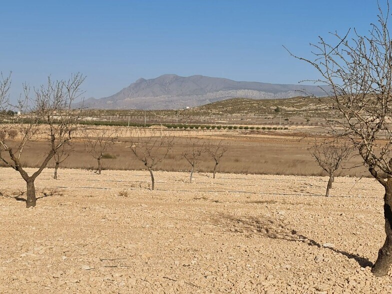 Terrain dans Jumilla, Murcia à vendre - Photo principale – Image 2 sur 9