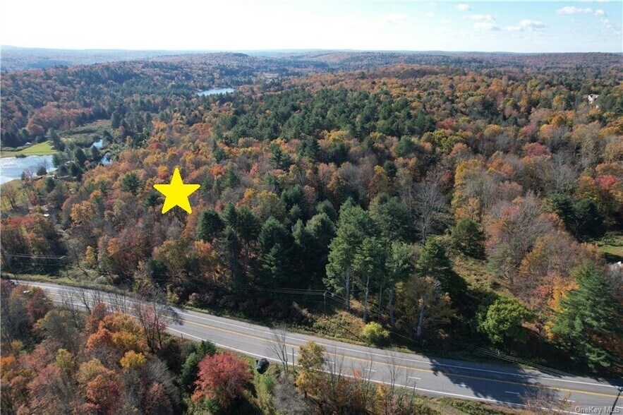 1195 State Route 17B, Bethel, NY à vendre - Aérien – Image 3 sur 38