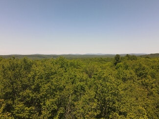 Plus de détails pour 1 Snow Hill Rd, Parksville, NY - Terrain à vendre