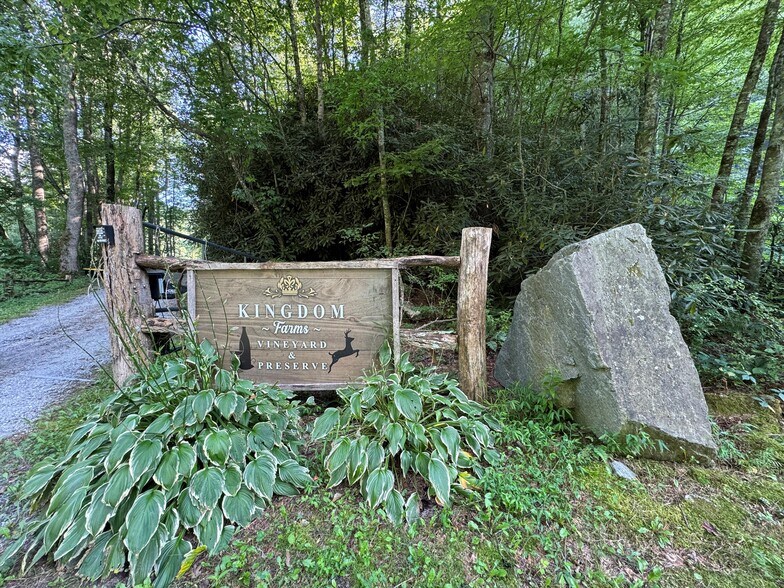 781 Payne dr, Zirconia, NC à vendre - Photo de l’immeuble – Image 3 sur 40