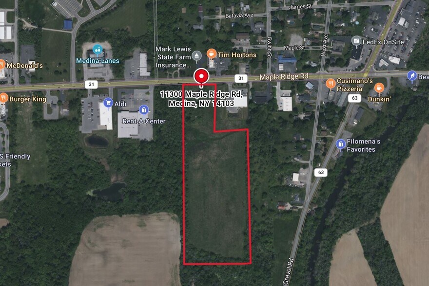 11300 Maple Ridge St, Medina, NY à vendre - Photo de l’immeuble – Image 1 sur 7