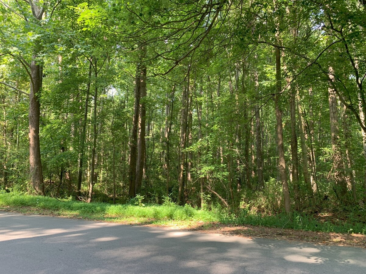 View Photo