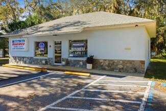 Plus de détails pour 2339 N Country Road 470, Lake Panasoffkee, FL - Bureau à vendre