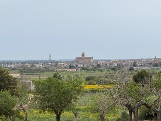 Plus de détails pour Camí Vel de Porreres, 2, Algaida - Terrain à vendre