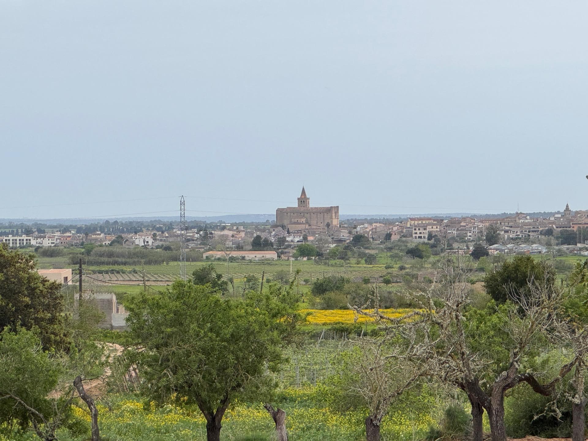 Camí Vel de Porreres, 2, Algaida, Islas Baleares à vendre Photo de l’immeuble– Image 1 sur 37