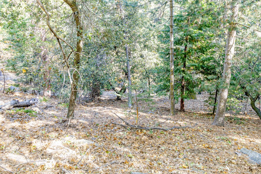 0 Alder Creek Rd, Cedarpines Park, CA à vendre - Aérien – Image 2 sur 3