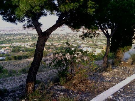Terrain dans Alguazas, Murcia à vendre - Aérien – Image 2 sur 9