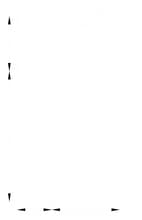 1100 S Highway 260, Cottonwood, AZ à louer Plan de site– Image 1 sur 6