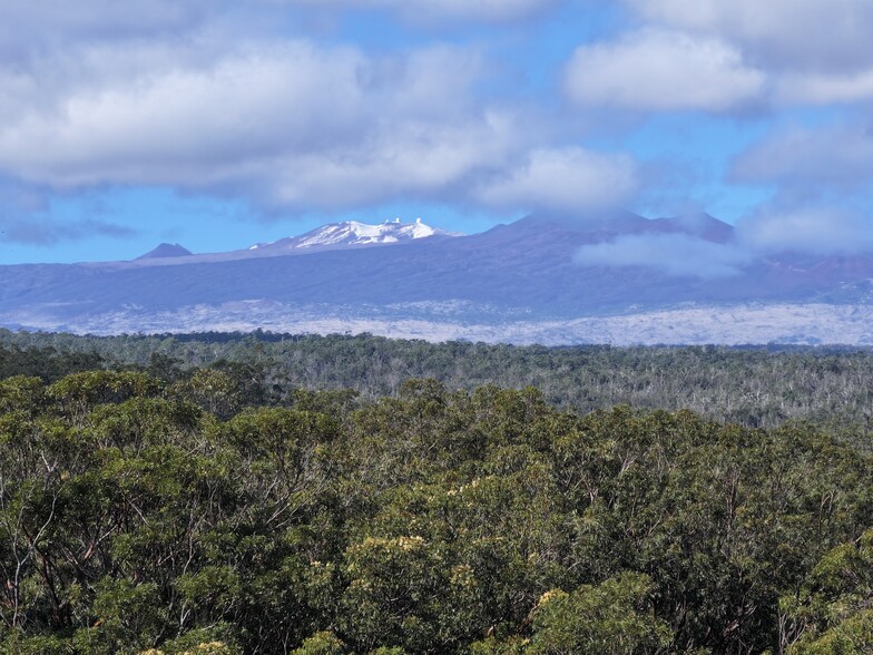 29-773 Chin Chuck Rd, Hakalau, HI à vendre - Photo de l’immeuble – Image 3 sur 4