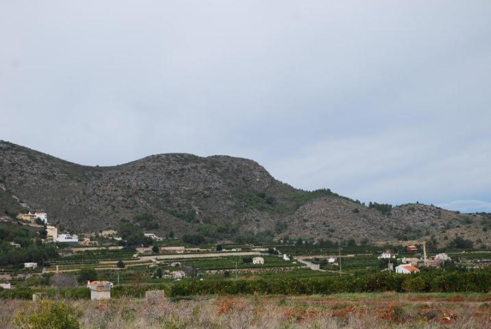 Partida Mostalla, Pego, Alicante à vendre - Photo principale – Image 3 sur 8