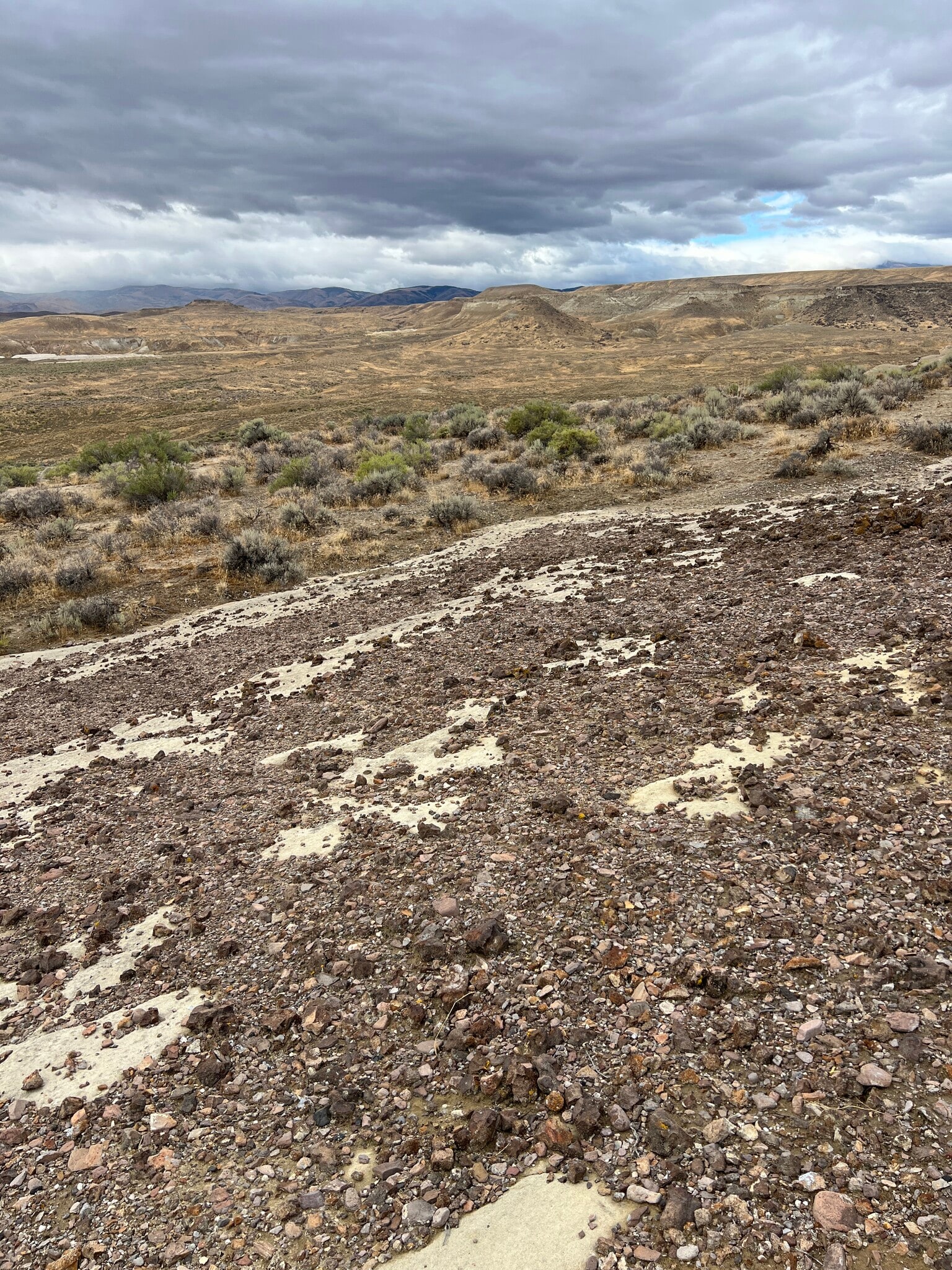TBD Oolite Mine Interest, Oreana, ID à vendre Autre– Image 1 sur 7