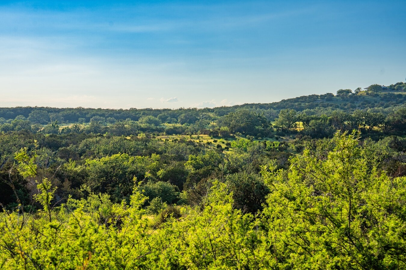 View Photo