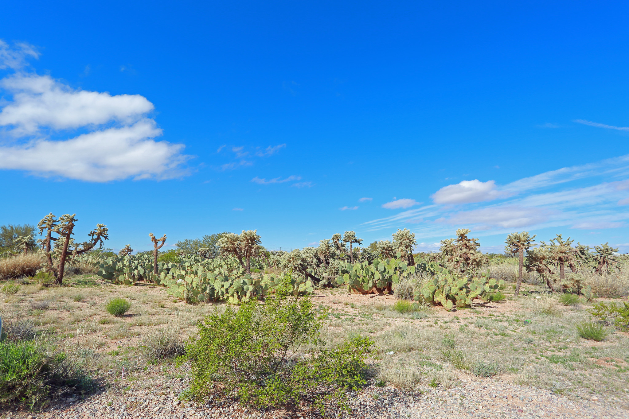 7850 E Valencia Rd, Tucson, AZ à vendre Photo de l’immeuble– Image 1 sur 5