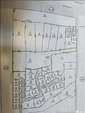 Plus de détails pour 333 Vine St, Fernley, NV - Terrain à vendre