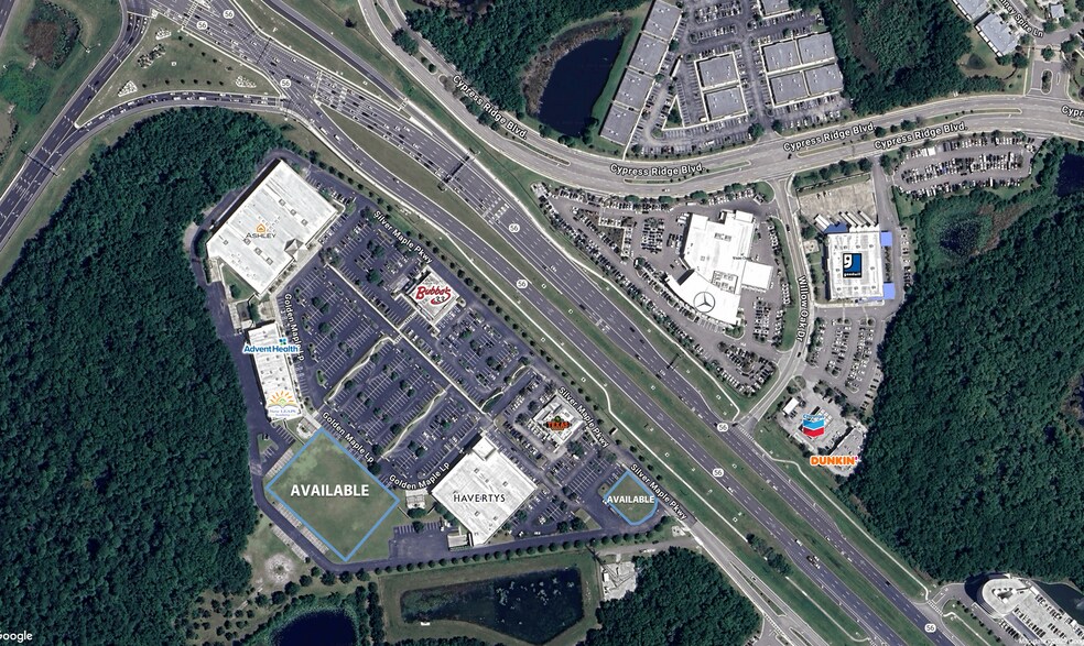 I-75 & SR 56, Wesley Chapel, FL à louer - Photo principale – Image 1 sur 2