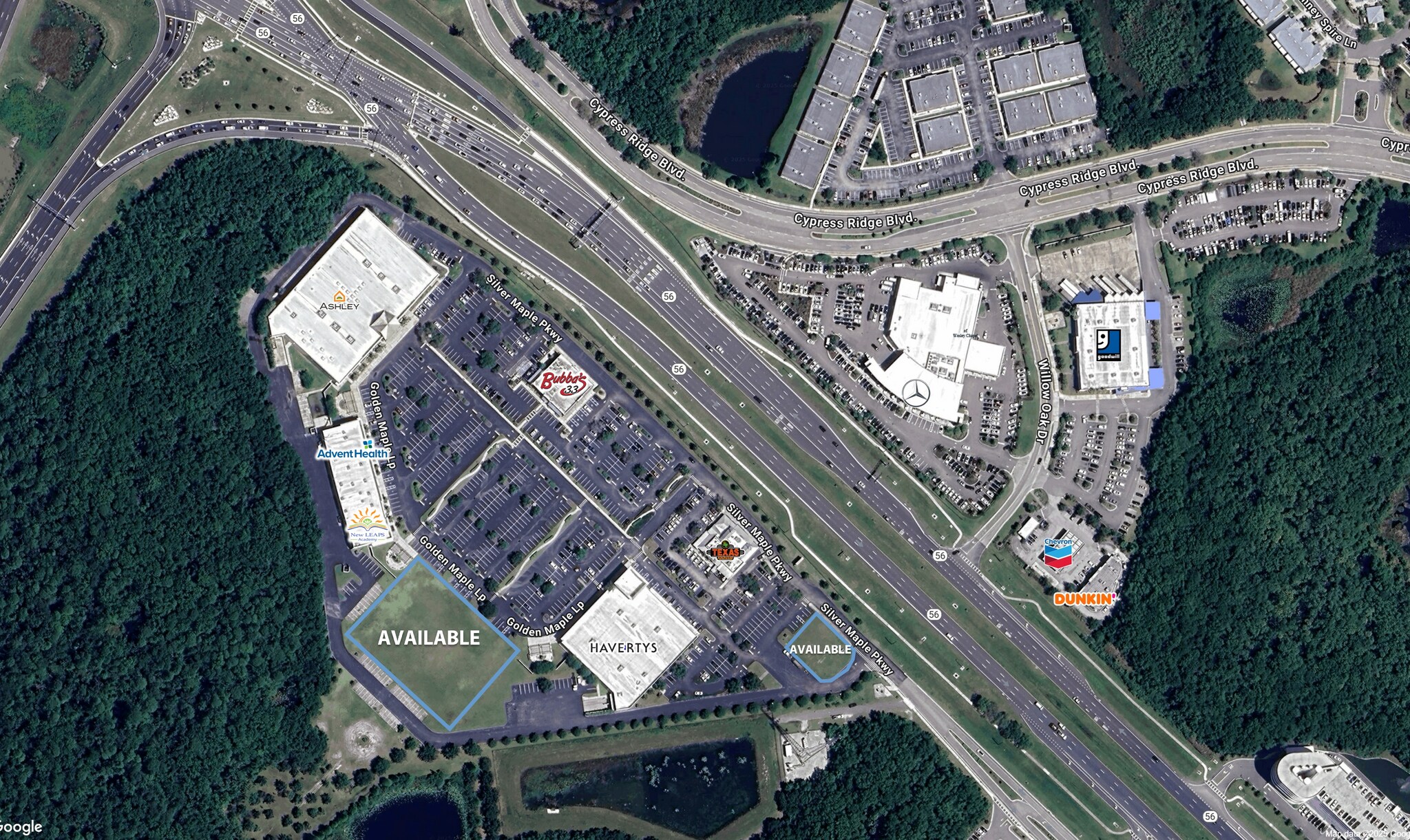 I-75 & SR 56, Wesley Chapel, FL à louer Photo principale– Image 1 sur 3