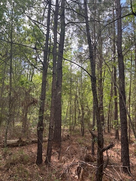 0 New Bethel Church Rd, Fitzgerald, GA à vendre - Autre – Image 3 sur 10